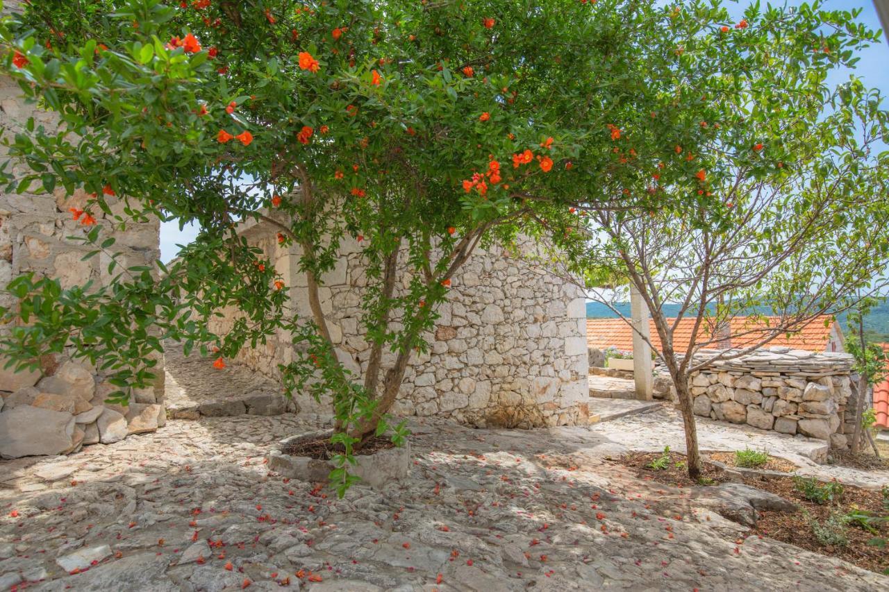 Dalmatian Stone House Vila Rogoznica  Exterior foto